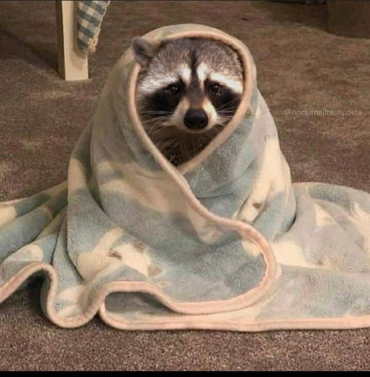 ABawree's tweet photo. Indian Swifties during every countdown

#Thelifeofashowgirl #newheightspodcast #TaylorSwift #taylornation @TSUpdating @taylorswift13 https://t.co/MvI9OES3O5