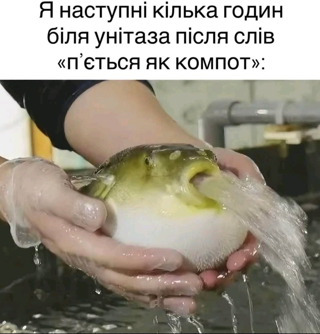 IntimateKnight's tweet image. Є таке