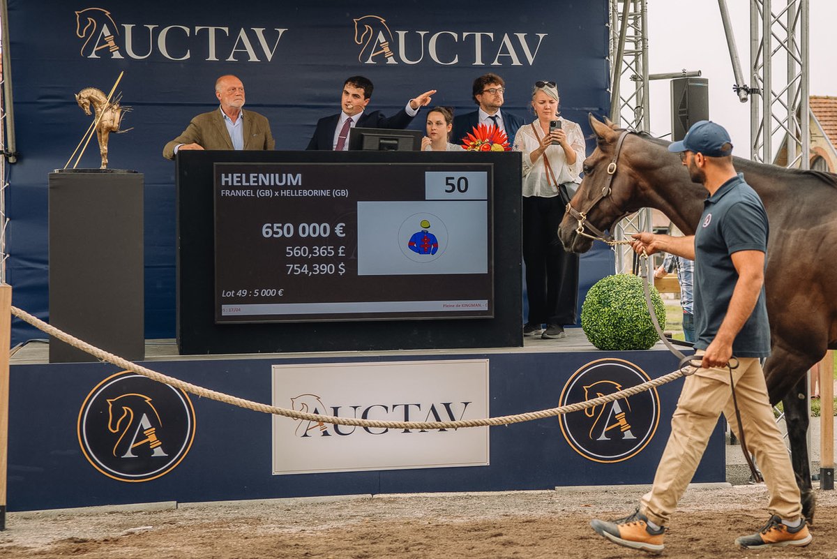 🇫🇷 Frankel half-sister to Coventry winner Calyx tops Auctav's Jean-Pierre Dubois Sale at €600,000

Read more here 👉 bit.ly/45Gzlzk