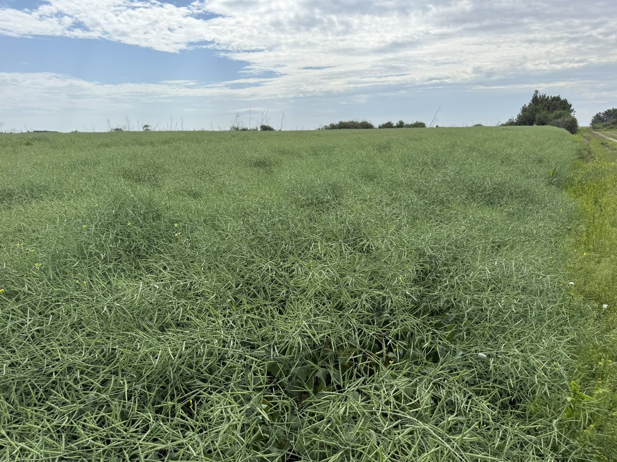 This is how I feel about businesses that we deal with. Come on guys we support you and not a peep on the Canola front. Most make out better than farmers yet nothing.

We are reaching out to all our local businesses, retailers and partners in our community that we do business with