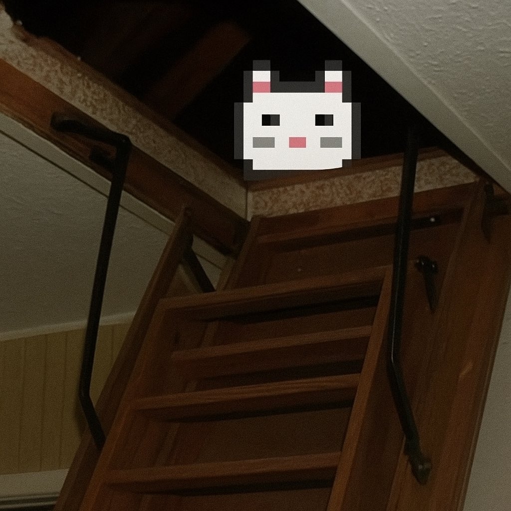 If your 5 or 6 figure PFP isn't wearing a 4 figure NFT companion from 2017 on its head plz don't @ me or share your opinion. Reality is you need to work harder &amp; move out of your mom's basement. *Attics are fine.