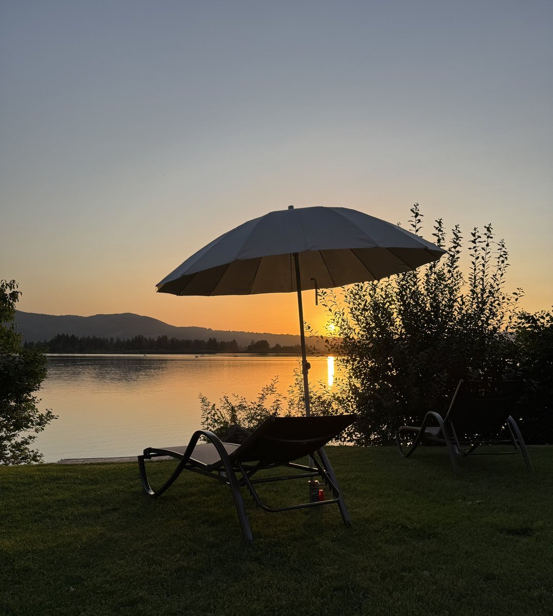 Phoenix_Muc's tweet image. Kleine Auszeit am See …