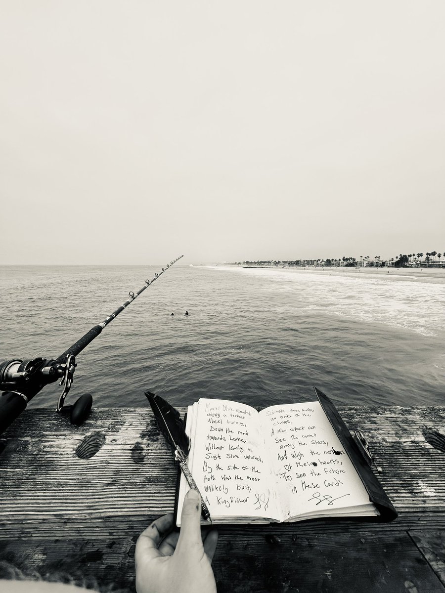 New Poem ~ Kingfisher 🪶 $POEM

Marine blue coated
along a perfect
wheel turning,

Down the road
towards home,
Without leaving a
single stone unturned,

By the side of the
path was the most
unlikely bird,

A kingfisher.
~ LF 🥀🔥