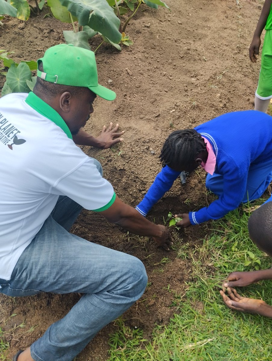 The school grounds came alive as we planted a variety of valuable tree species, including mango, Tectona grandis, Gmelina arborea, cashew, and avocado—each chosen for its ecological and economic benefits.