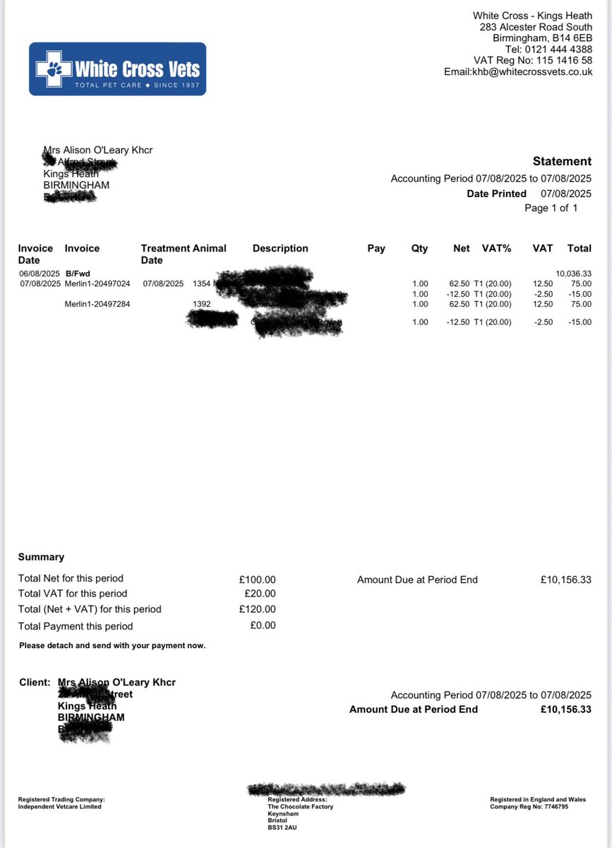 Kings Heath Cat Rescue tweet media