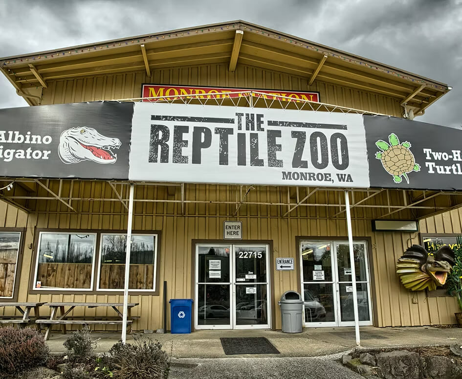 MyEverettNews's tweet image. Reptile Zoo in Monroe to Close in October: myeverettnews.com/2025/08/13/rep… #reptiles #zoo #closure #monroe #reptileman #reptilelady