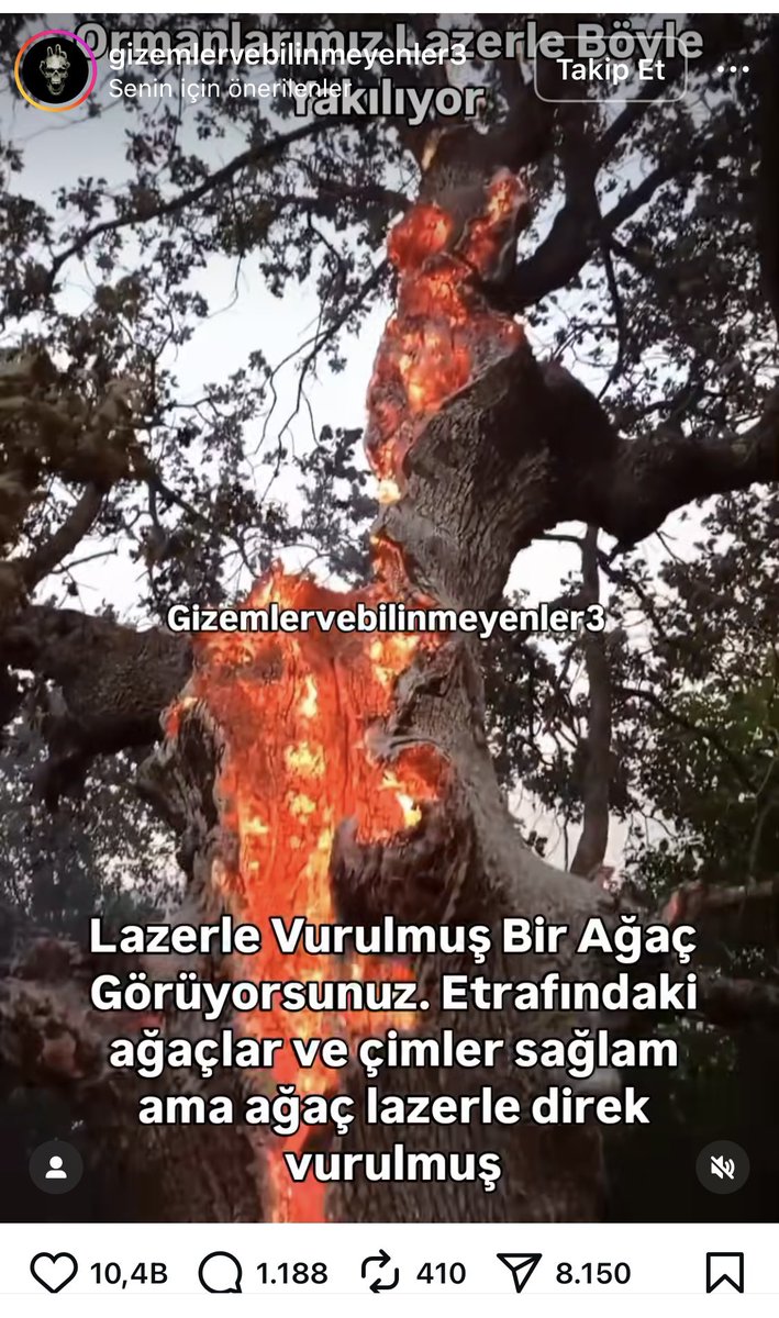 Yalan dolana dayanan sosyal medya paylaşımları o kadar fazla ki. Yıldırım düşmüş bir ağaç lazerle yakılmış diye paylaşılmış. 10 binden fazla beğeni almış, binden fazla yorum var. Hemen hepsi inanmış. Bilgi çağındaki bu cahillik giderek daha büyük sorun oluyor