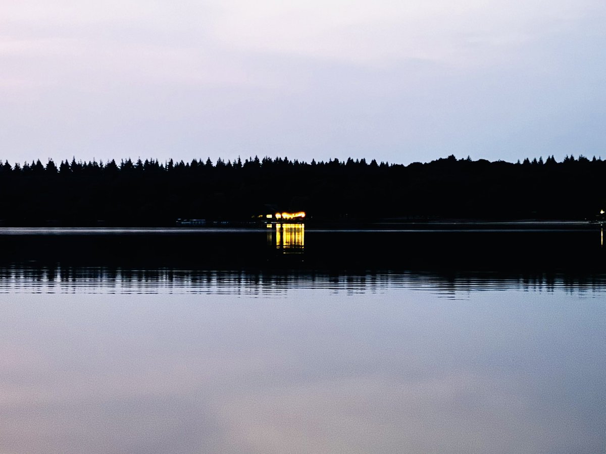 Like a heartbeat drives you mad
In the stillness of remembering what you had