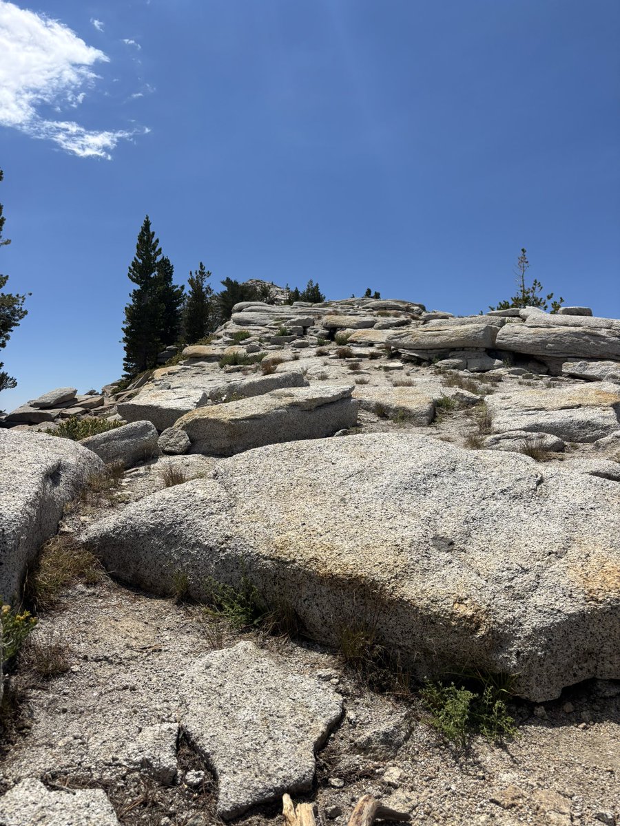 Andrew D. Huberman, Ph.D. tweet media