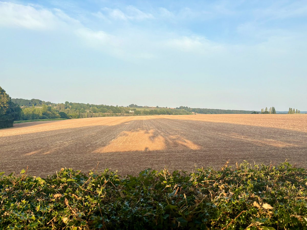 thewayofnight's tweet photo. The light this time of year blows me away. It’s golden, hazy blending with the colours in the landscape. #HighSummer #Lammastide #DogDays #Light https://t.co/uPpF2fXnqJ