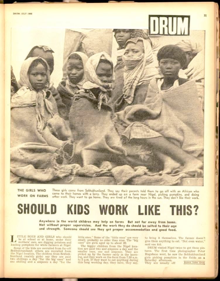 MashiloKotelo's tweet photo. @HistorySAZAR @GardeeGodrich Young children, mostly girls, working for white farmers in Nigel, near Johannesburg. They were recruited from Sekhukhuneland, 200 miles away in what is now Limpopo province. A 1960 photo essay from Drum Magazine. https://t.co/1bqIKUPm3Y
