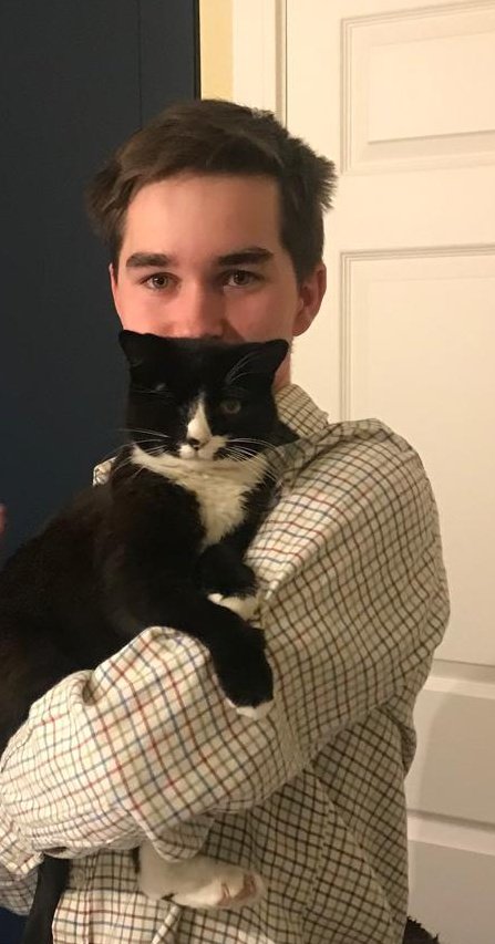 Dominic Ryan tweet media