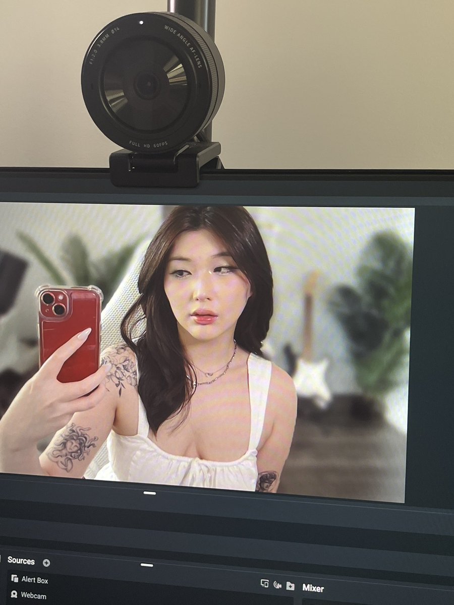 running mop celestials and yapping !! 

twitch.tv/caro_irl