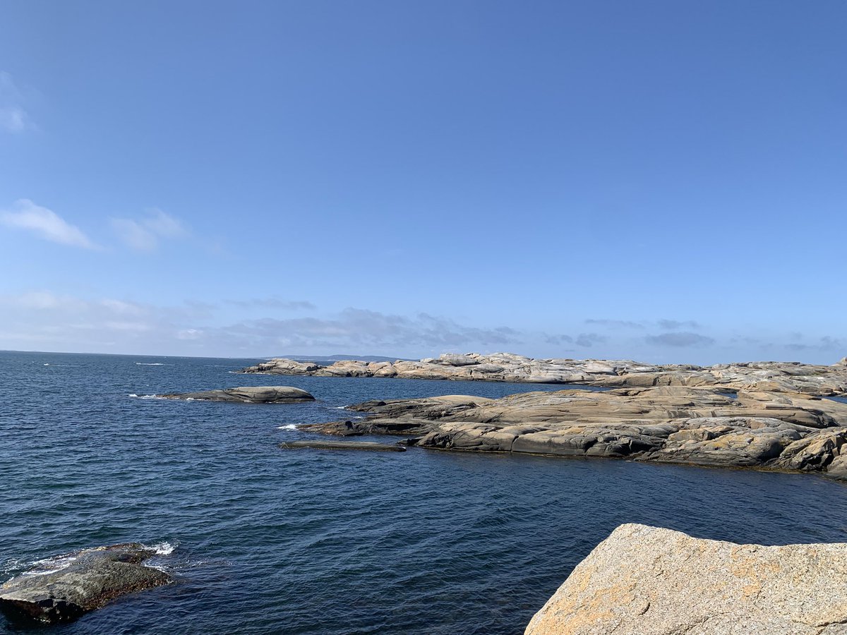 If you’re looking for me…. I’m out of office #vacation