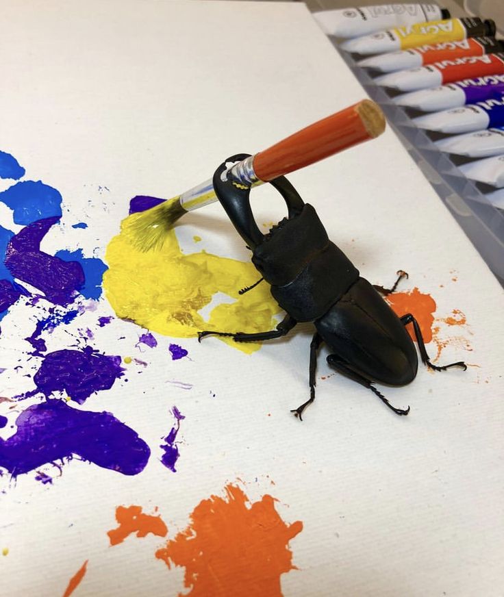 look at them they color! oh so special
