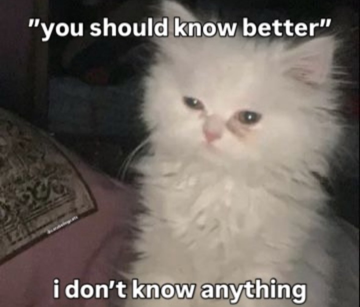 literallymecats's tweet photo. https://t.co/fO8XxPZUDO