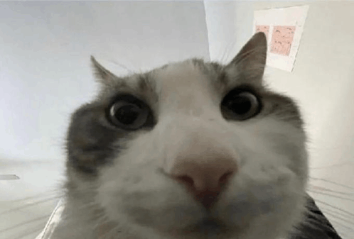 &gt; teenage girl gets sexually harassed and forced to expose herself in bathroom
&gt; look inside
&gt; she was sexually harassed and forced to expose herself by a transphobe, not a trans person