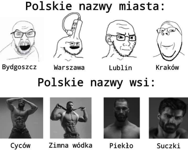 papież internetu (@mihaszek) on Twitter photo 