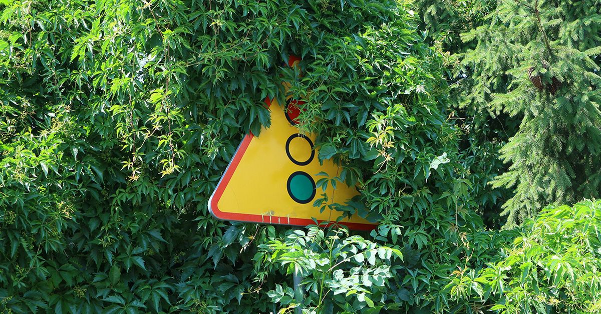 ConvergenceMS's tweet image. Corporate earnings appear strong, but only a few sectors show real gains. How could it affect your portfolio? Learn more: livesocial.seismic.com/tmNoWn