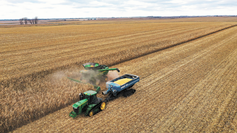 Conafab's tweet image. Maíz se hunde después de que el USDA elevara perspectivas de cosecha

eleconomista.com.mx/mercados/maiz-…