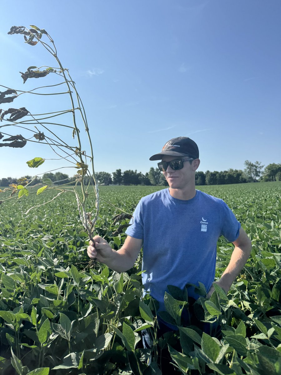 Intern Spotlight: Connor McArthur 
📍Connor is from Hillsdale, Mi
🌽He grew up on his families cow/calf operation
🖤Attending University of Findlay
🧡Connor will be graduating in May with a BA in Animal Science
🐮Connor enjoys raising &amp; showing cattle all over the country.