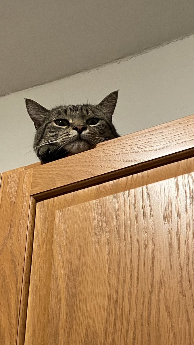 Sancho (and Polina) tweet media