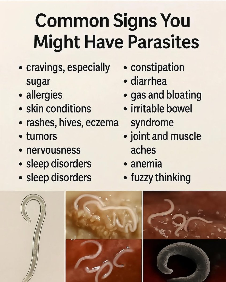 BarbaraOneillAU's tweet image. 1. Herbal Deworming Protocol 🪱
We use a potent blend of concentrated herbal tinctures—the same traditional antiparasitic herbs trusted for centuries:
🌿 Clove – destroys eggs
🌿 Black walnut – kills adult parasites
🌿 Wormwood – weakens &amp;amp; eliminates all life stages

These herbs…