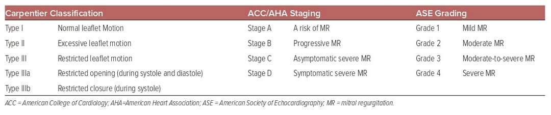 🔴Secondary Mitral Regurgitation: Diagnosis and Management⤵️ #2024Review #OpenAccess

🔹uscjournal.com/articles/secon…
#POCUS #Cardiology #FOAMed #MedEd #medstudent #paramedic #Cardiology #CardioEd #medtwitter #meded #CardioTwitter #cardiotwiteros  #MedX