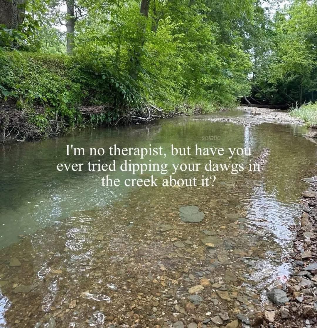 This Brainchild tweets (@memelord_sir) on Twitter photo 