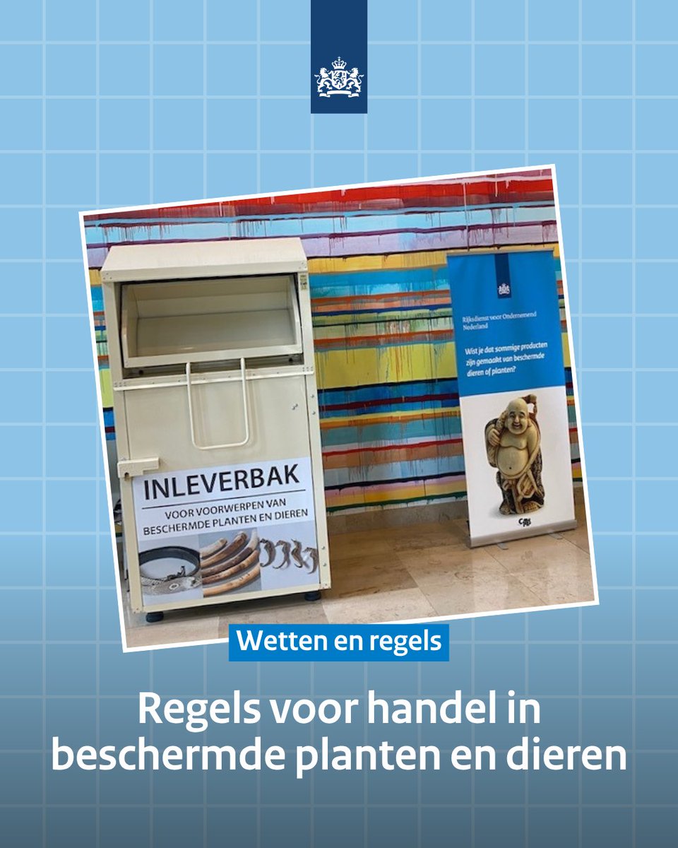 Bedreigde planten &amp; dieren mogen niet zomaar vervoerd of verhandeld worden ❌, volgens de overeenkomst CITES (Convention on International Trade in Endangered Species of wild Fauna and Flora).

bit.ly/3FmARNO