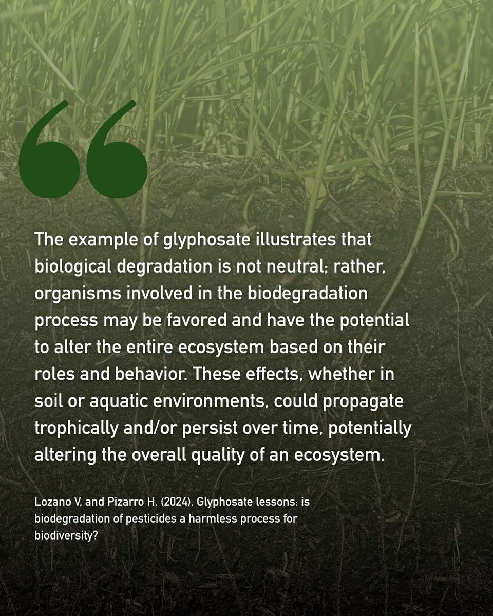 Into the Weeds Doc tweet media