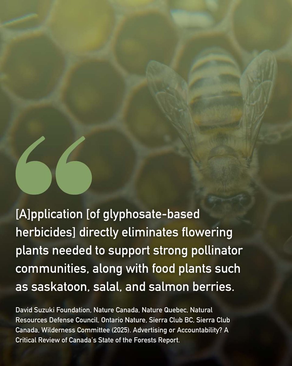 Into the Weeds Doc tweet media