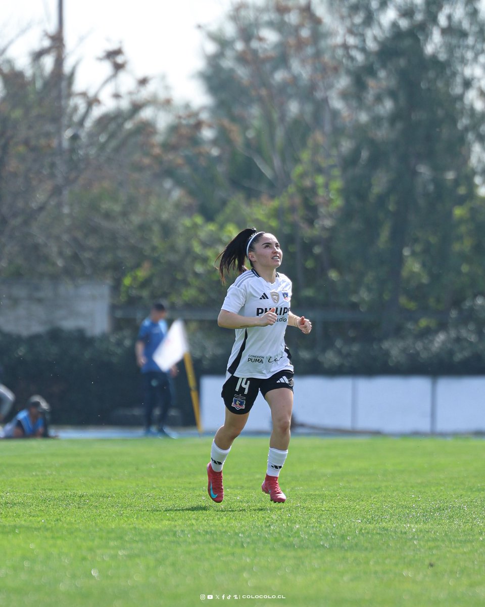 Colo-Colo Femenino tweet media