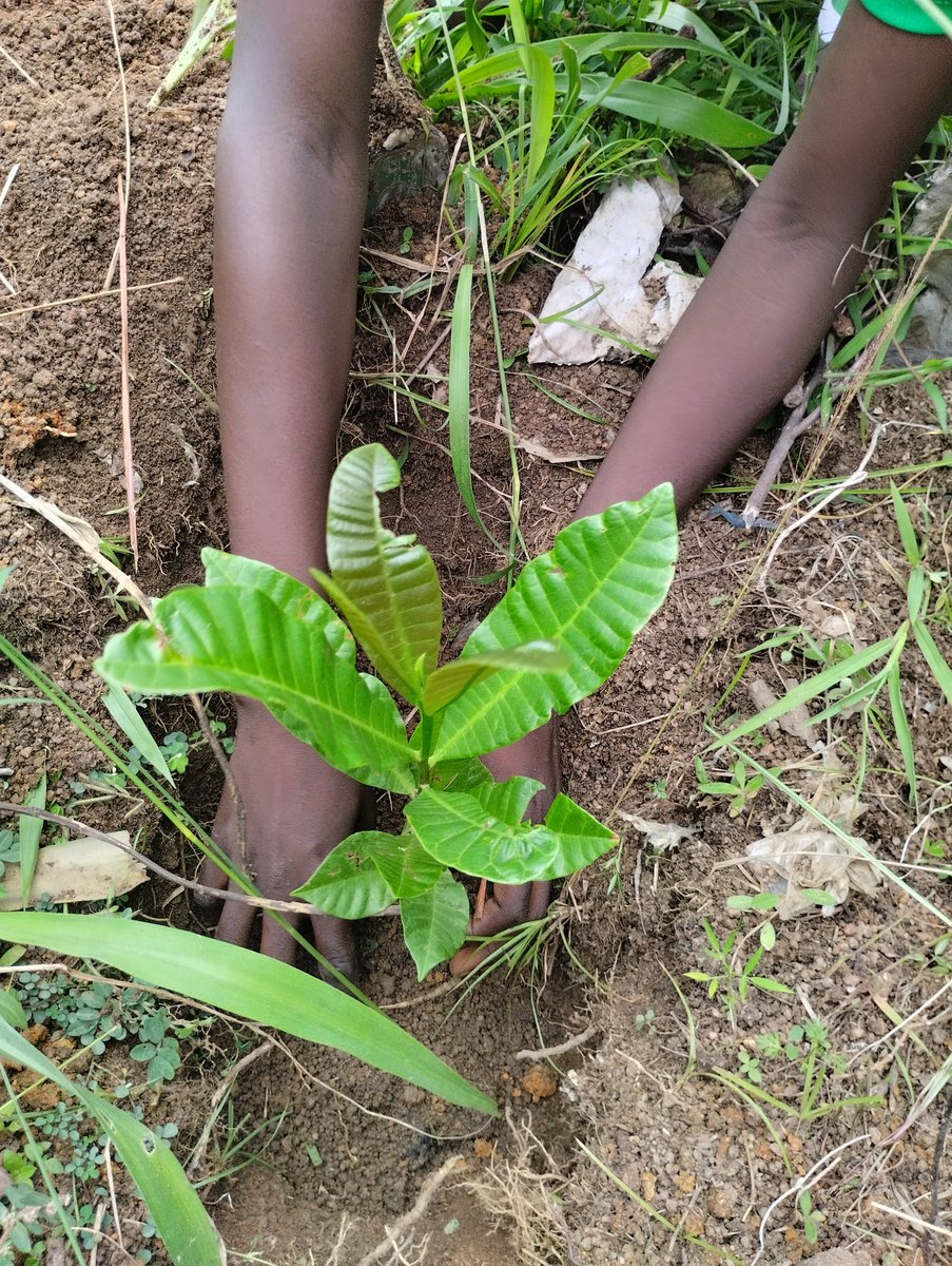 It was a day of learning, action, and innovation—leaving behind not just trees, but a living legacy of sustainability for the students and the community.