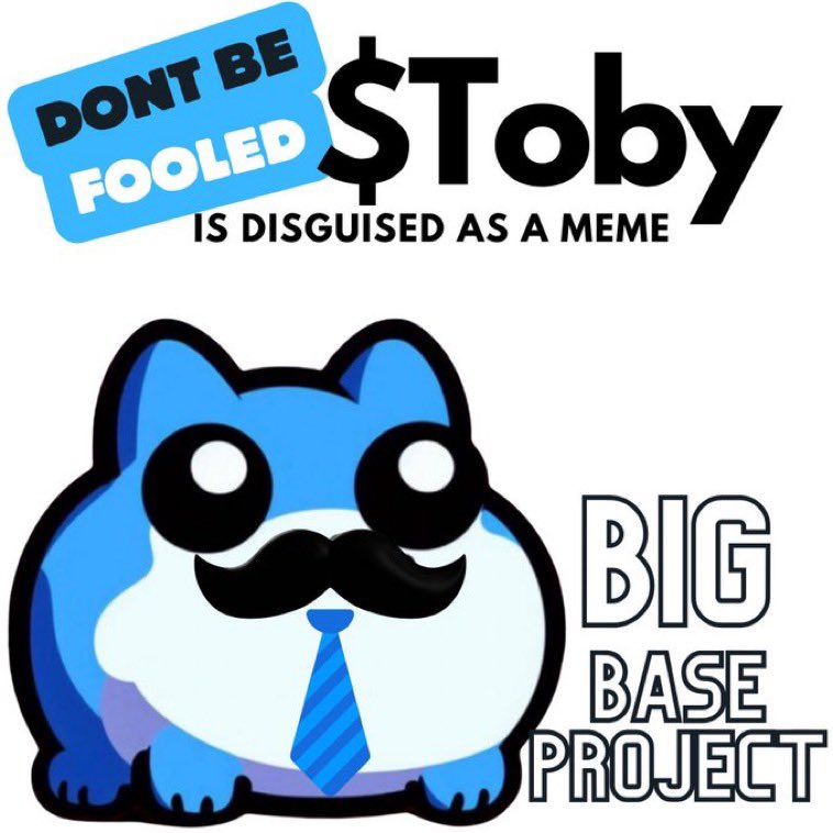 '속지 마라 $Toby는 밈으로 위장했다'와 'Big Base Project'라는 문구가 적힌 파란 만화 고양이의 밈 그래픽