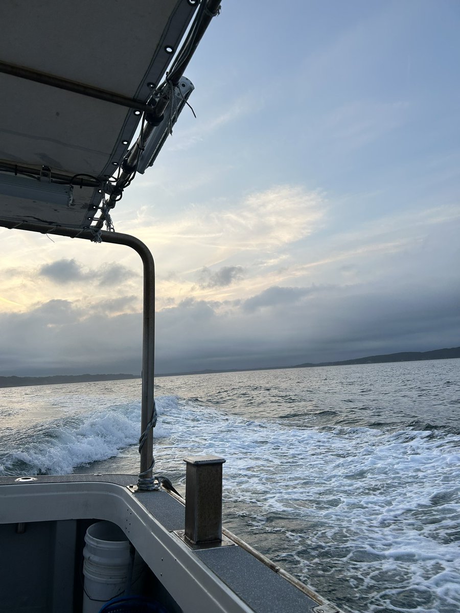 そーた tweet media