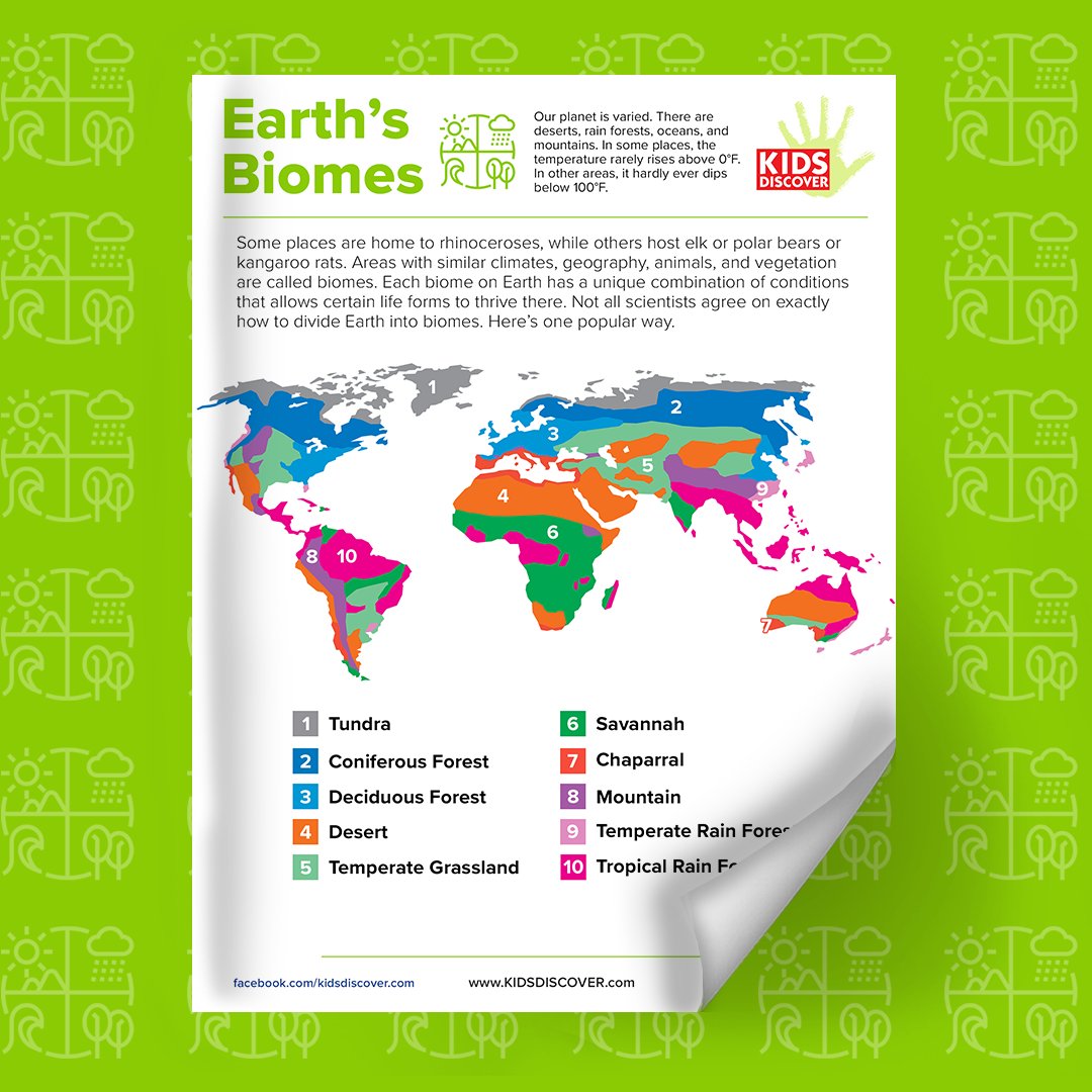 Get a view of our planet’s ecological diversity with our newest Infographic: Earth’s Biomes. This colorful visual highlights 10 distinct biomes, from icy tundras to lush tropical rainforests, perfect for a lesson unto itself! 

Download for FREE here🌱 online.kidsdiscover.com/infographic/ea…