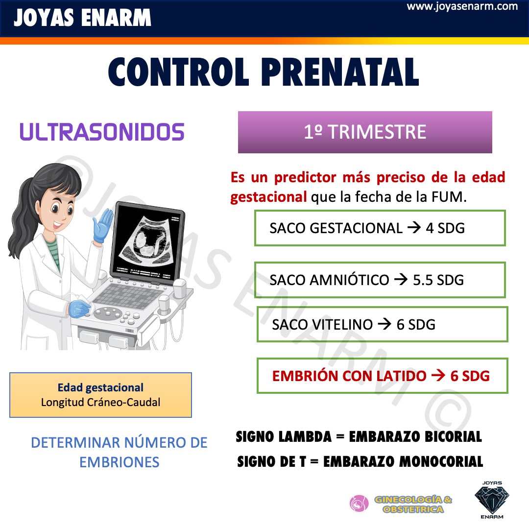 Top Temas de Obstetricia para el #ENARM 💎

Repaso INTENSIVO para llegar al 100% el día del ENARM.

💎 Simulador Tipo ENARM.
💎 Flashcards.
💎 Ultra Resúmenes (puntuales y concisos).
💎 Resúmenes Completos.
💎 Libro Ultra Resúmenes. (envío gratis).

#ENARM2025