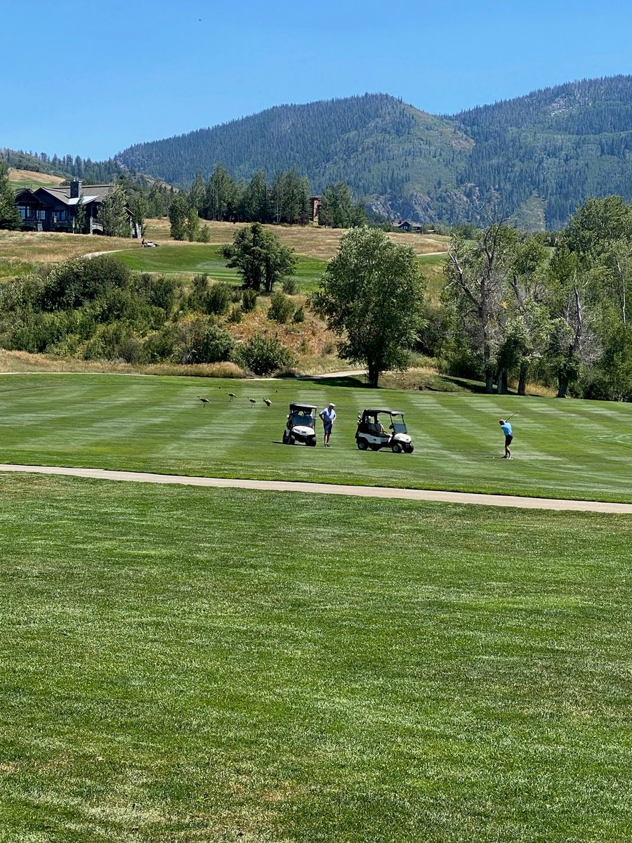 Golf with your friends. #catamountclub #mountaingolf