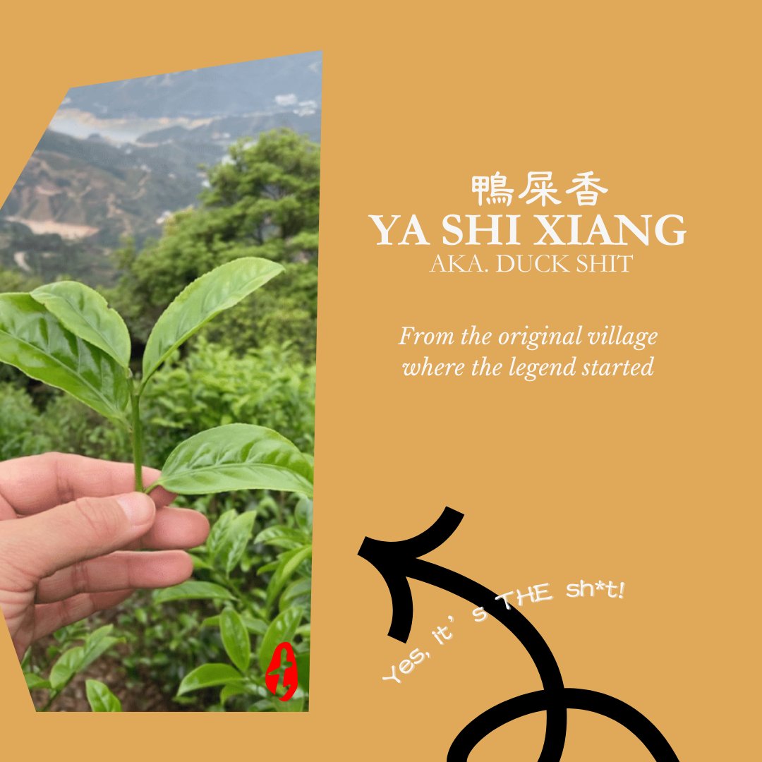 Tea Drunk tweet media