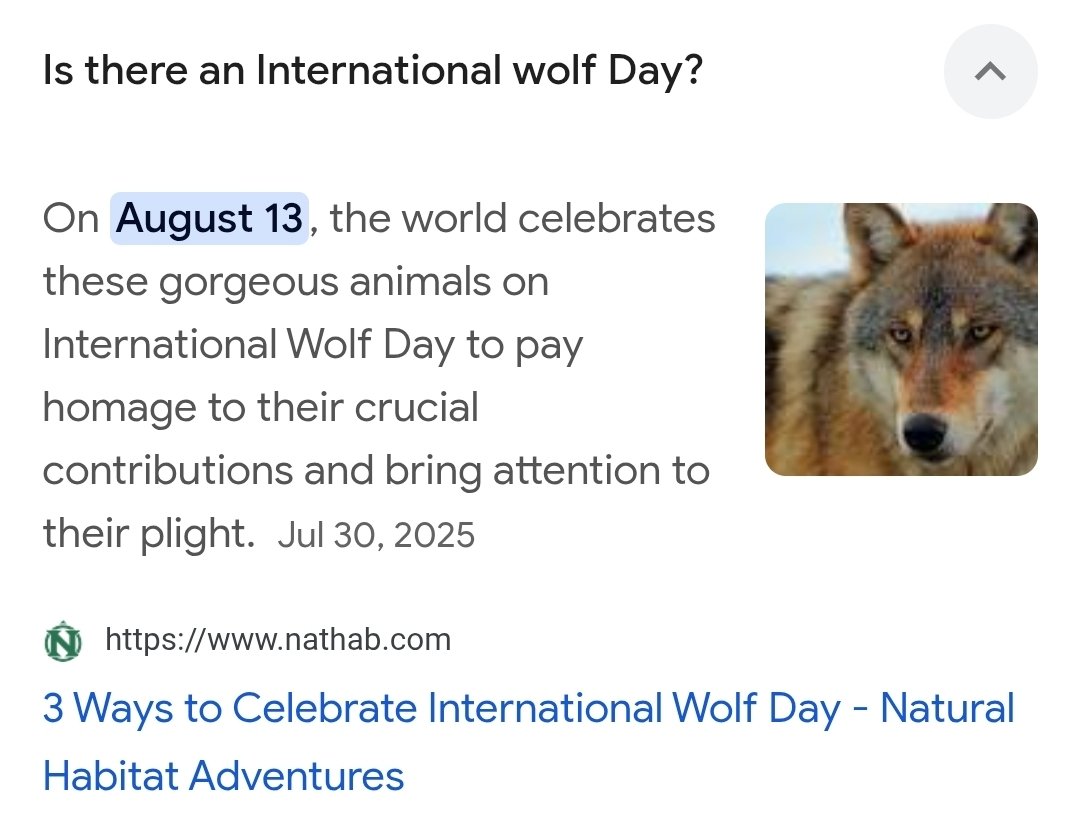 Darklight tweet media