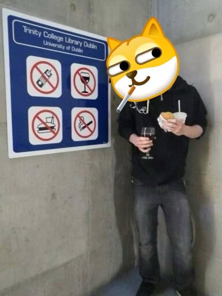 WeChat Doge meme image featuring a dog with Chinese cultural elements