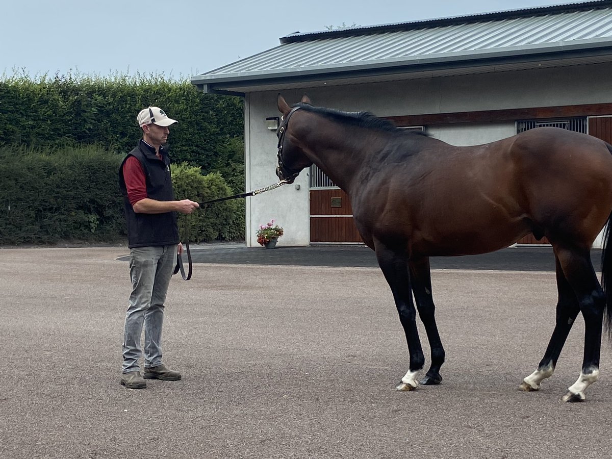 Kerry Ryan Event Management tweet media