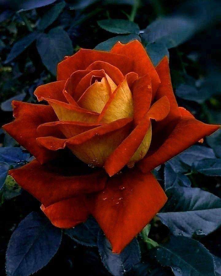 MarkAnCen's tweet photo. @ALadyNamedKatie https://t.co/6cg4Ky96hu