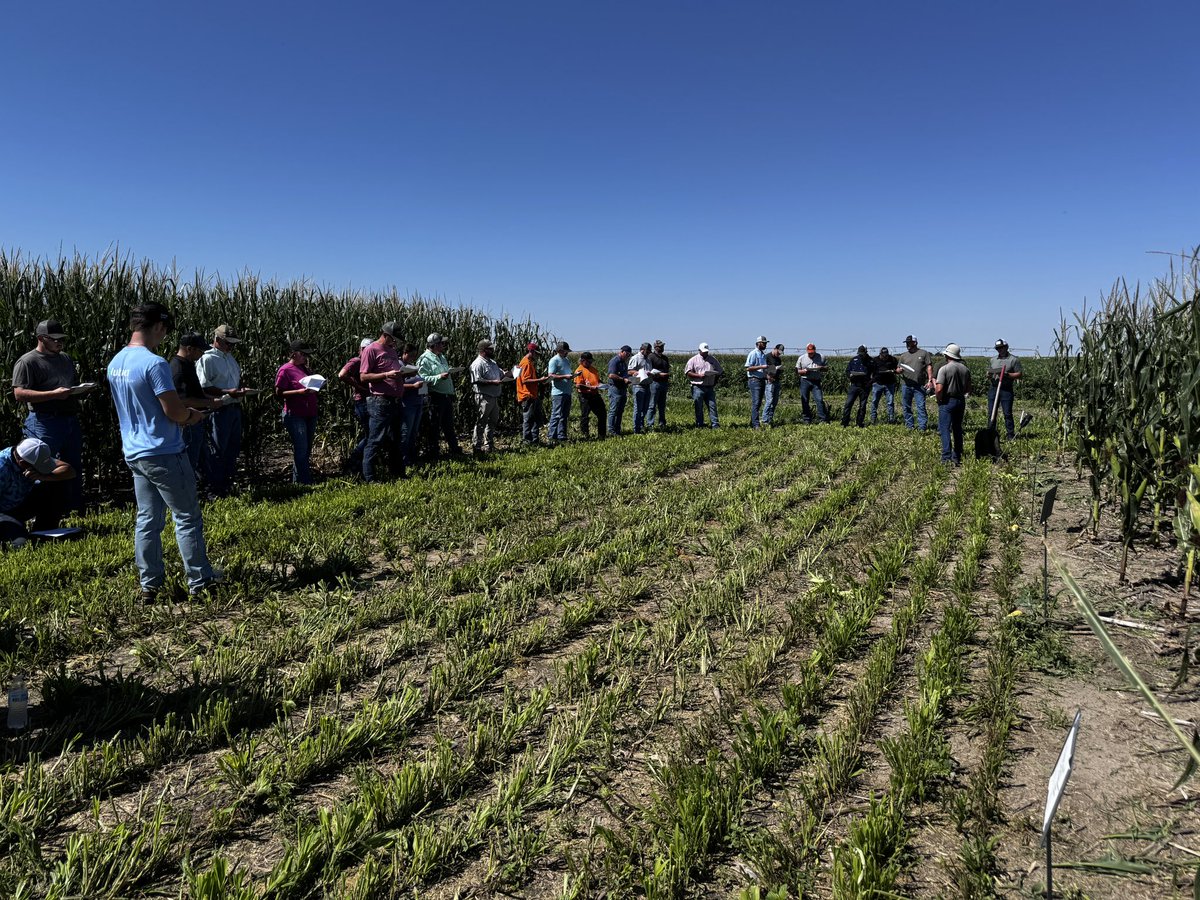 Out in the field 🌱📋 — hands-on learning at its finest! From crop staging to pest ID, nothing beats seeing it in action under the summer sun. 
<a href="/NutrienAgRetail/">Nutrien Ag Solutions</a>