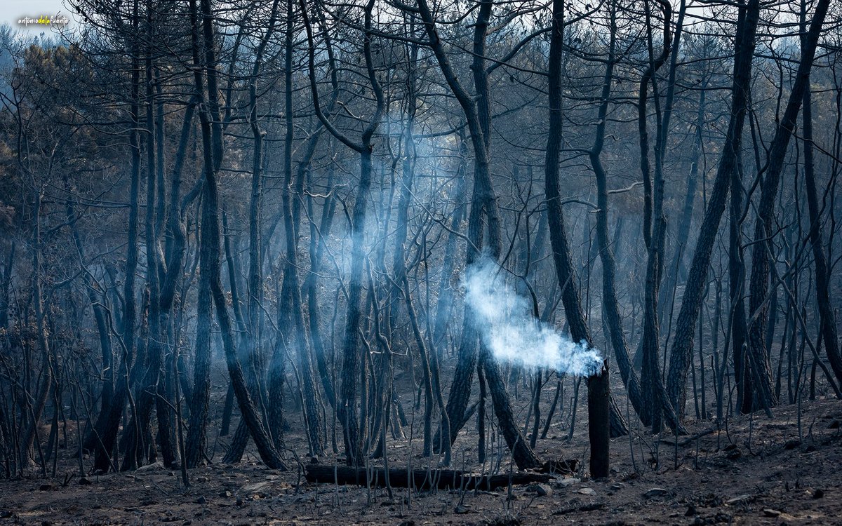 La Sierra de Jiménez, Santa Elena y Villanueva… inolvidables días de naturaleza. 
Ahora ceniza y desolación 😞