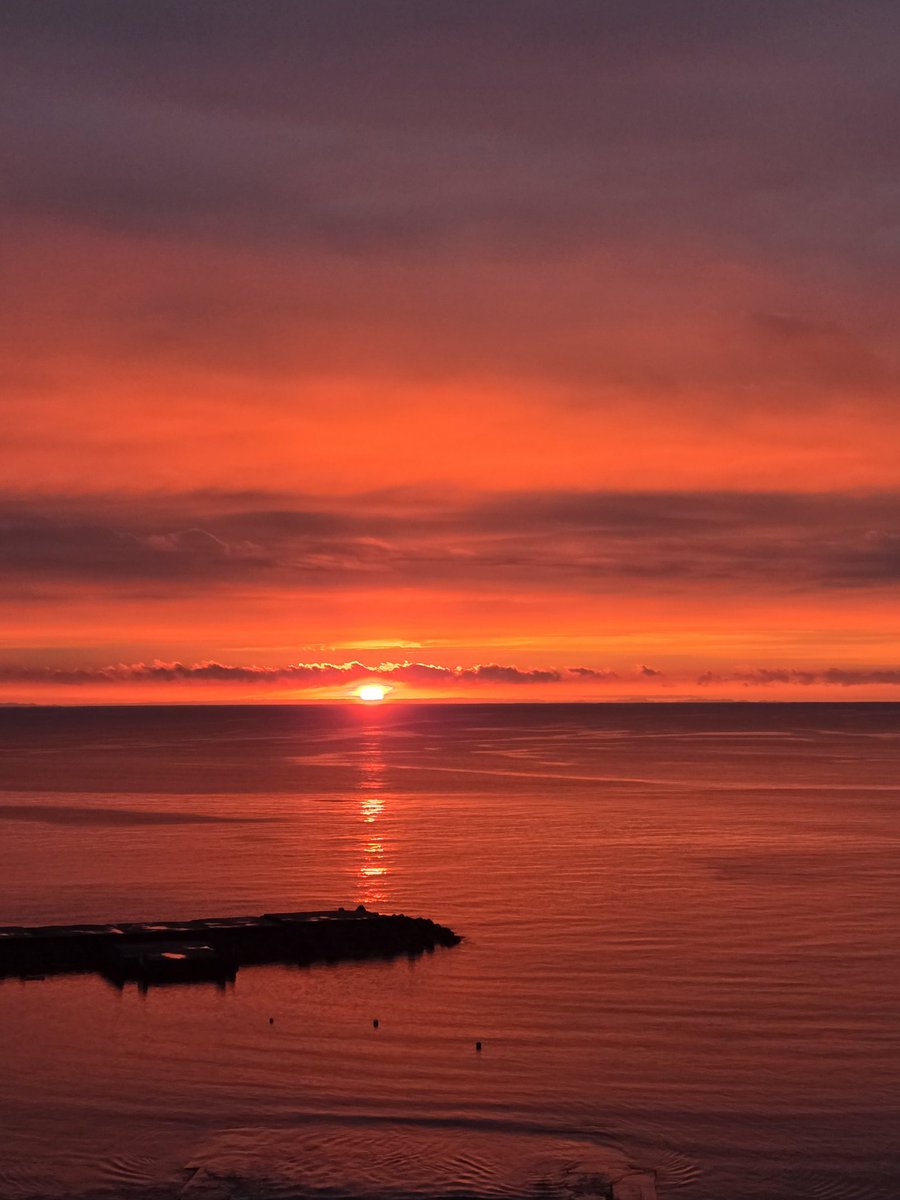 emi✩.*˚aka tweet media