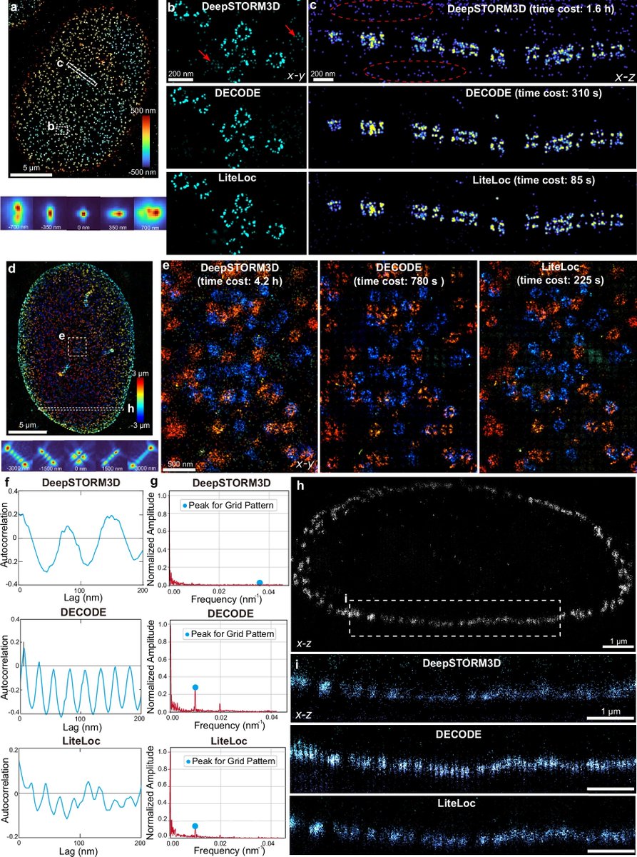 NikonInst's tweet image. 📄🔬 Check out this new article introducing LiteLoc, a promising #DeepLearning-based method for high throughput analysis of #SuperResolution single molecule localization #Microscopy #SMLM data that can be trained for different engineered PSF types: go.nature.com/45DQHxF