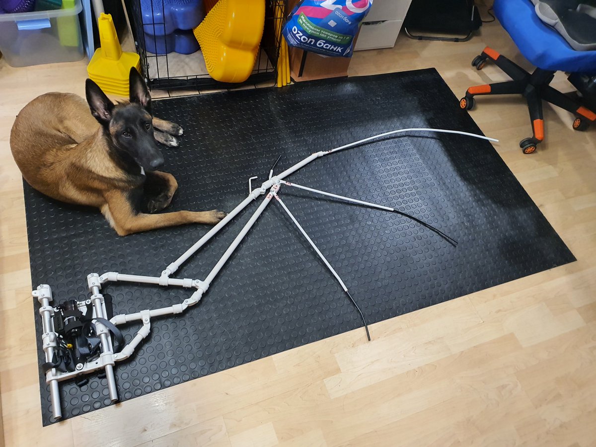 🌓🐺 Wolf Factory 🐺🌗 tweet media