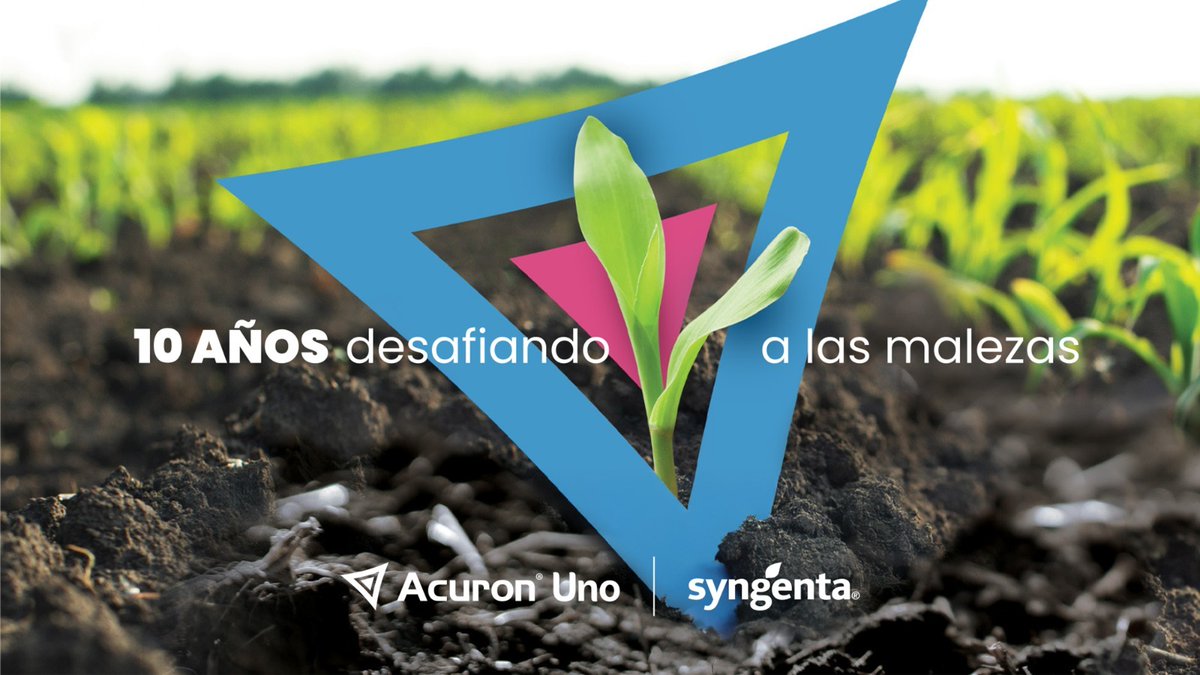 Syngenta Uruguay tweet media
